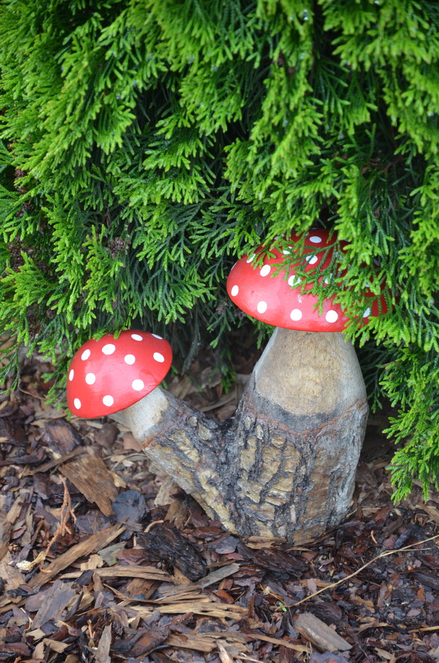 Grzybki muchomorki :)