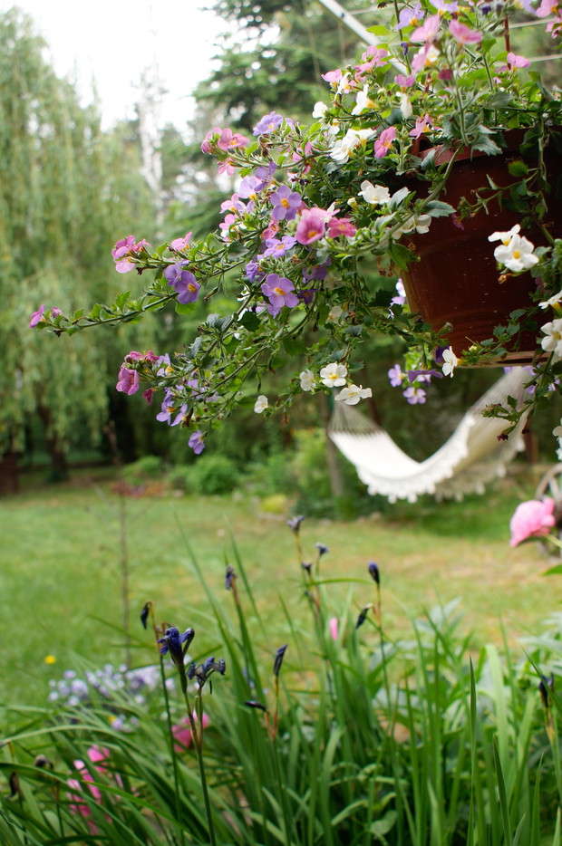 Hamak moje ulubione miejsce wypoczynku na świeżym powietrzu.