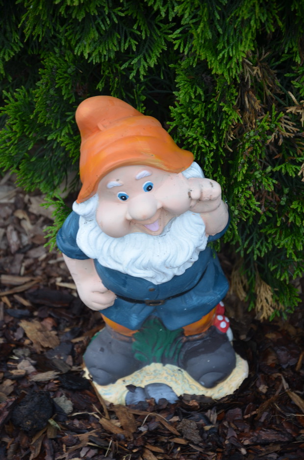 Krasnal  "Mądrala " :)