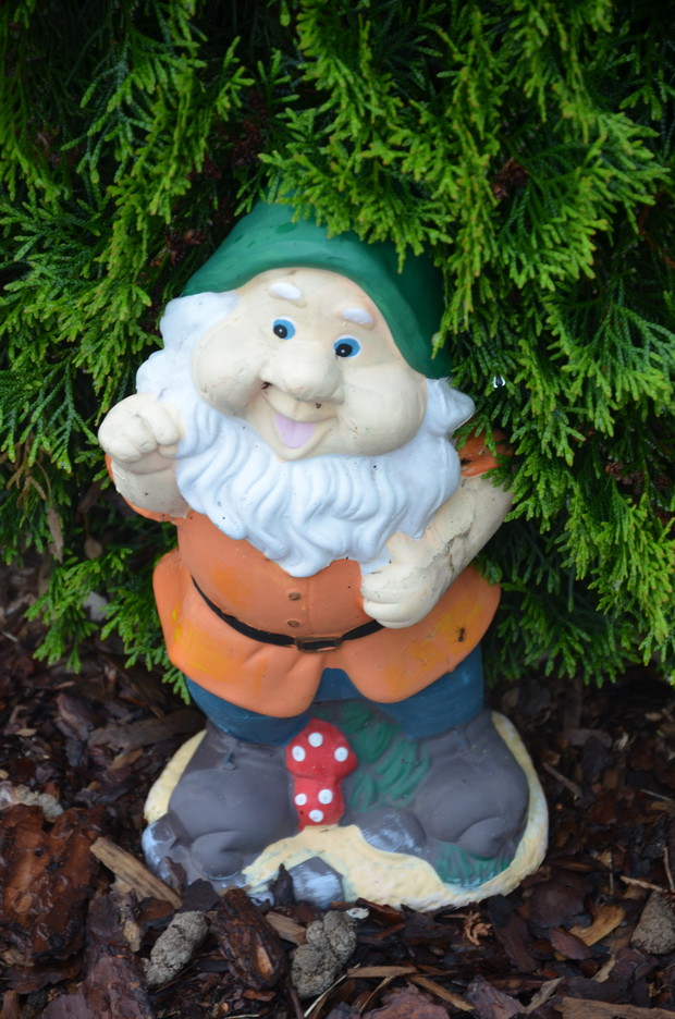 Krasnal  " Mędrzec " :) 