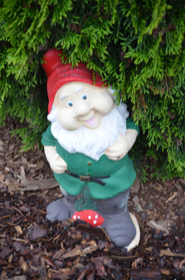 Krasnal  " Myśliciel " :) 