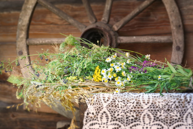 Lato zaklęte w suszkach.
