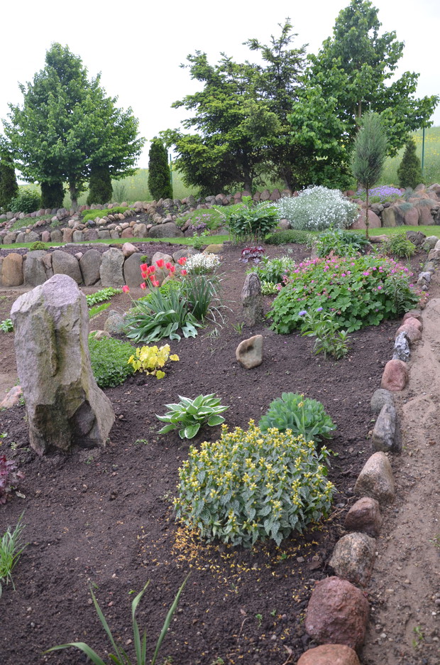 Moja kwiatowa rabata :)