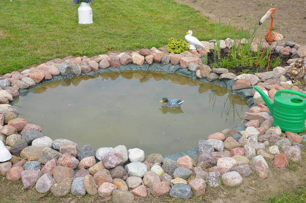 Moje oczko wodne zrobione przeze mnie osobiście :)