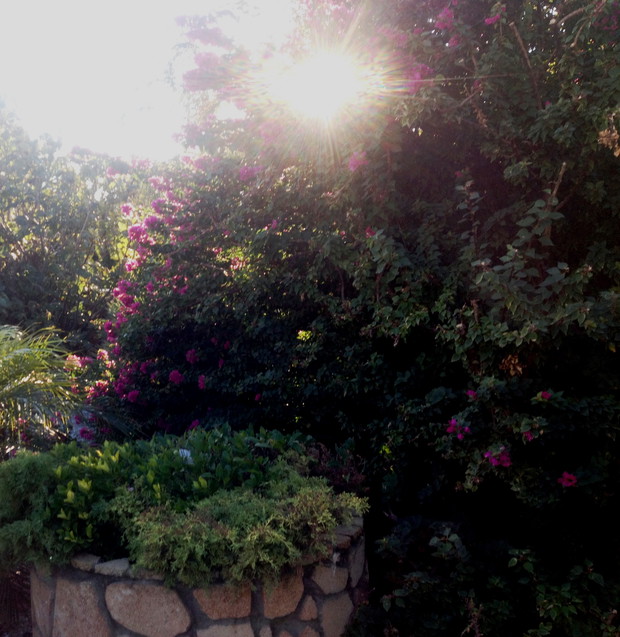 niekonwencjonalny sposob na   zakrycie  szamba.