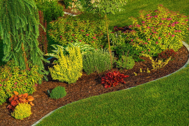 Odpowiednie zaznaczenie rabaty na trawniku to niełatwa sztuka, dająca jednak świetne efekty (zdj.: Fotolia.com)