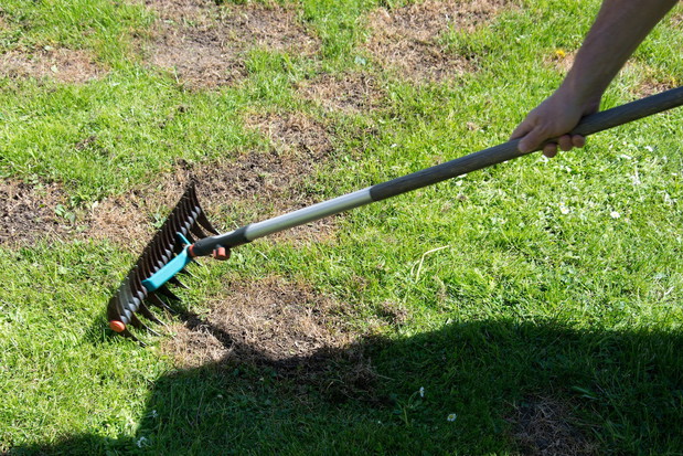 Po zimie trawnik rzadko kiedy wygląda tak zdrowo jak jesienią (zdj.: Fotolia.com)