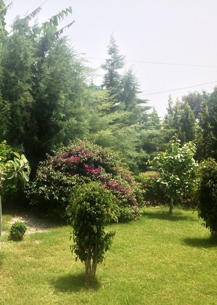 Roznorodnosc  to podstawa.