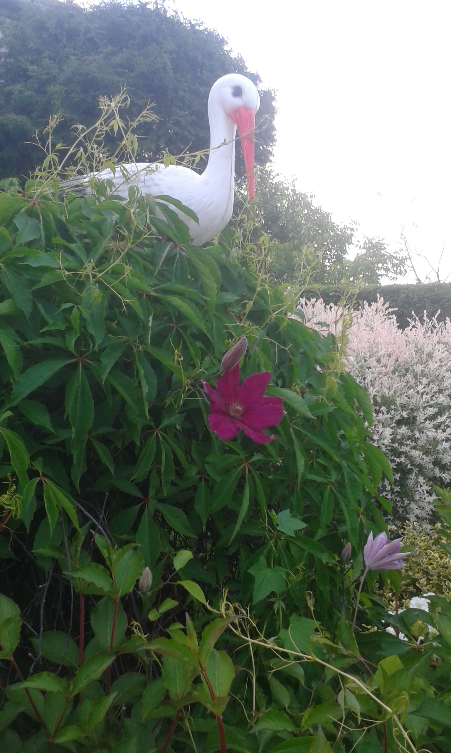 Sztuczny bocian obrosniety winobluszczem przeplatajacy kwiatami clematisa.