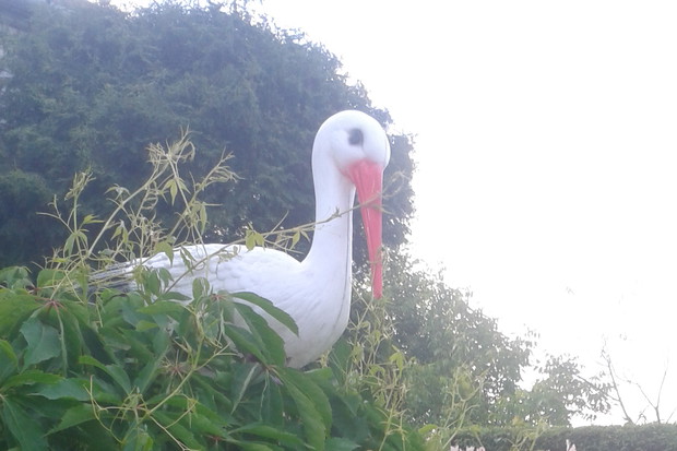 Sztuczny bocian obrosniety winobluszczem przeplatajacy kwiatami clematisa.