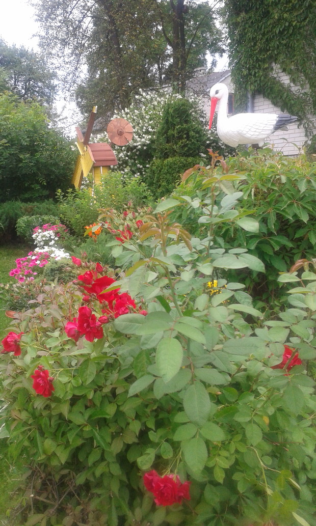 Widok ogrodu z piekna roza pnaca bocianem sztucznym oraz zoltym wiatrakiem..