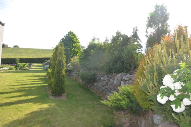 Wschodnia część ogrodu :)