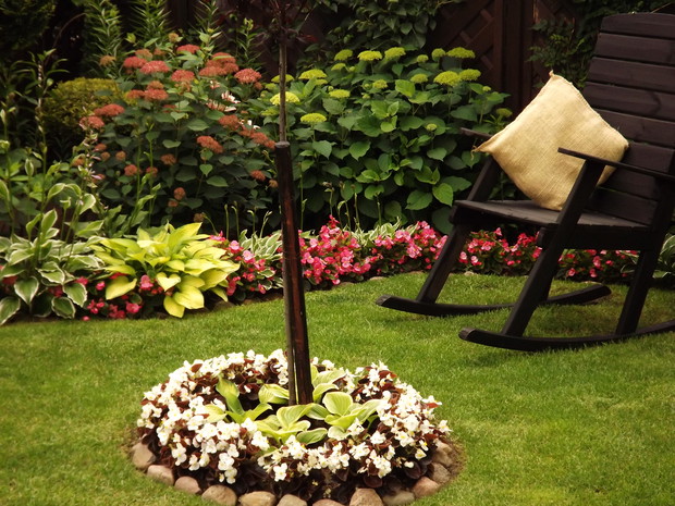 Zakątek z moimi ulubionymi roślinami, rosną tu hortensje, funkie oraz jednoroczne begonie