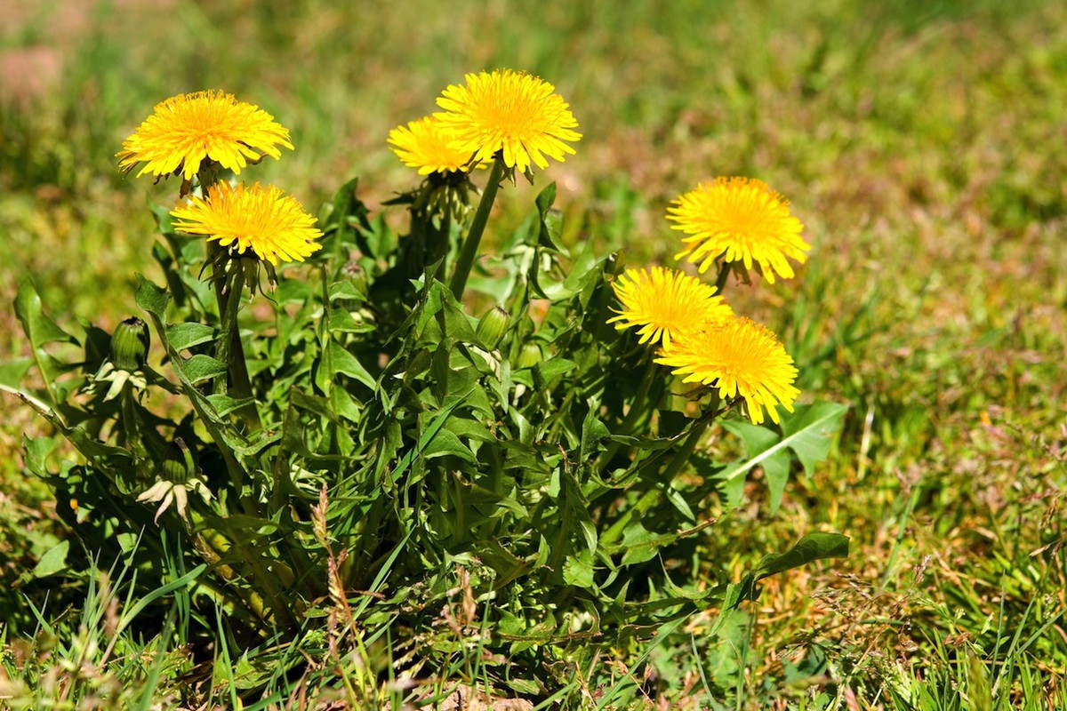 (zdj.: Fotolia.com)
