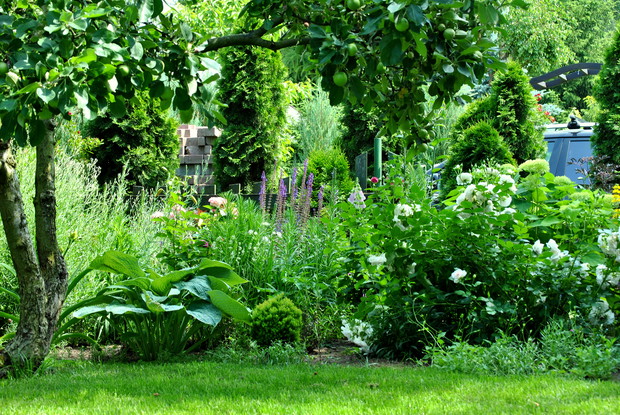 A po drugiej stronie....znów busz:)