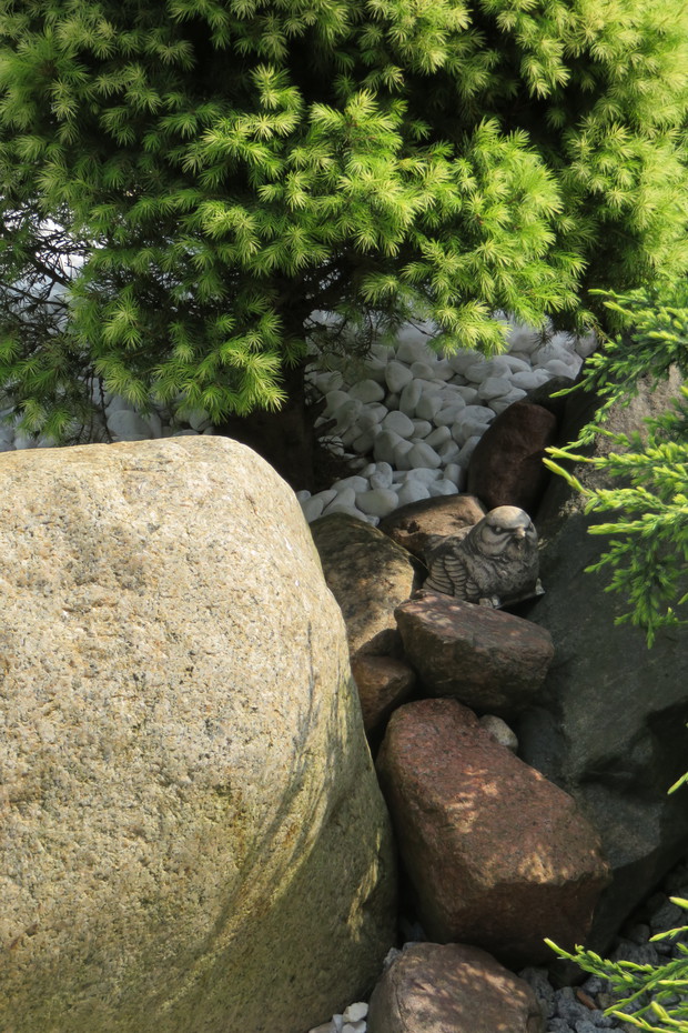 Aranżacje z kamieni, przedstawia druga część ogrodu. Kamień  jest ważnym elementem w naszym ogrodzie. Aby rabaty zrobiły wrażenie , trzeba poświęcić trochę więcej czasu i  efekt gotowy.  