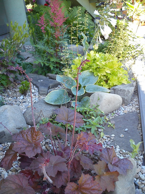 cieniolubna rabata żwirowa.