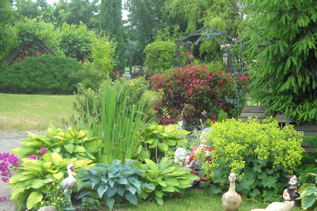 Część naszego zakątka tuż przy domu.