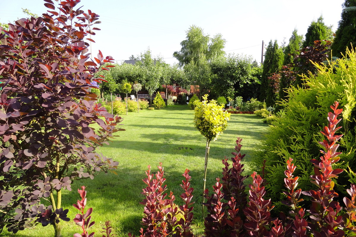 Część rekreacyjna działki