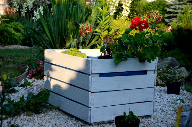 Donica ze starej skrzynki 