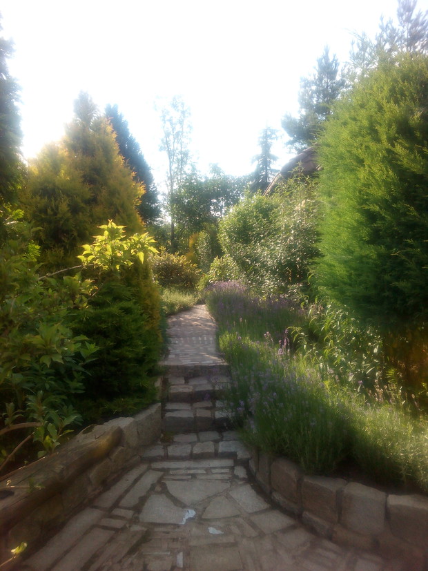 Dookoła domu biegnie ścieszka, czasem wąska.