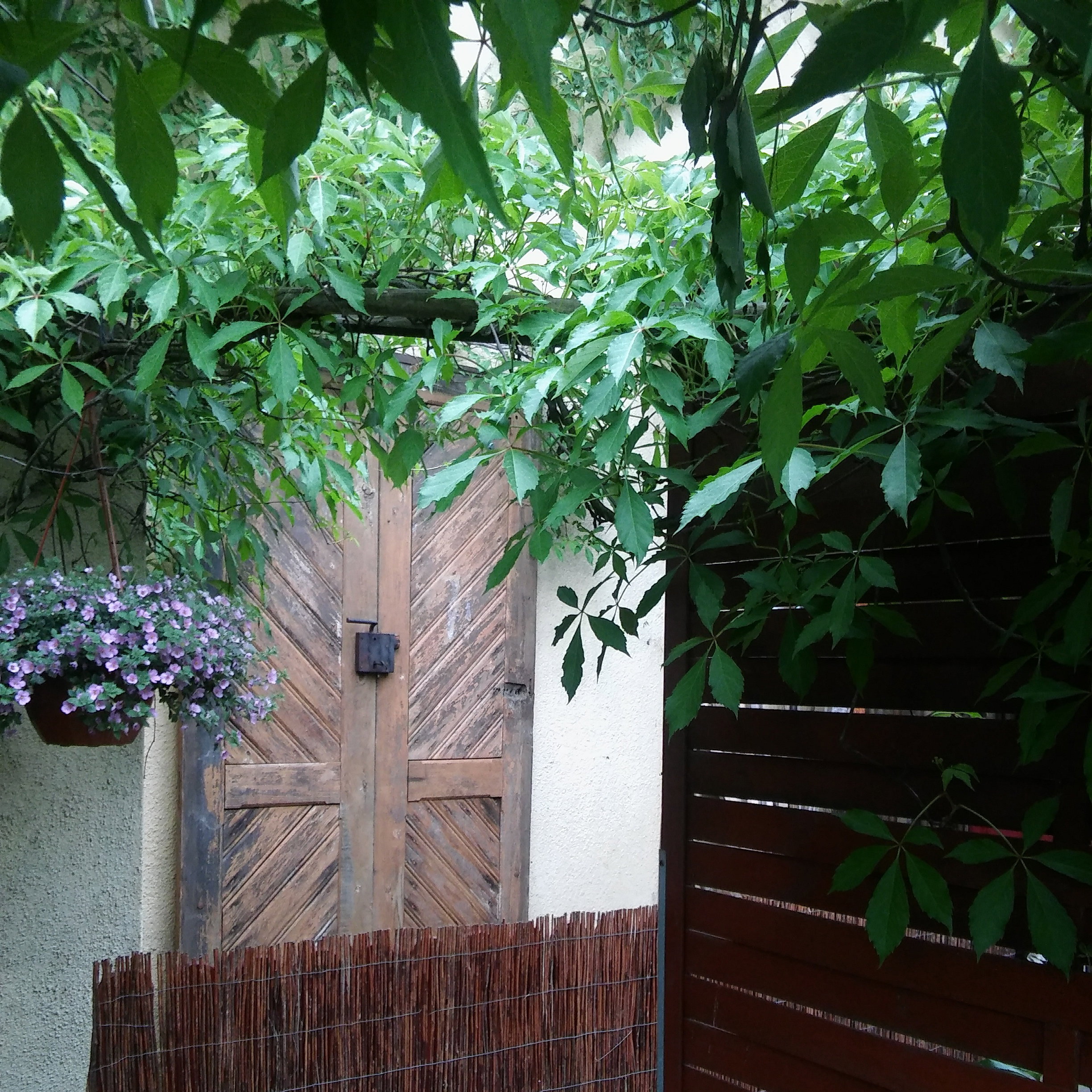 Drzwi ze starej stodoły.