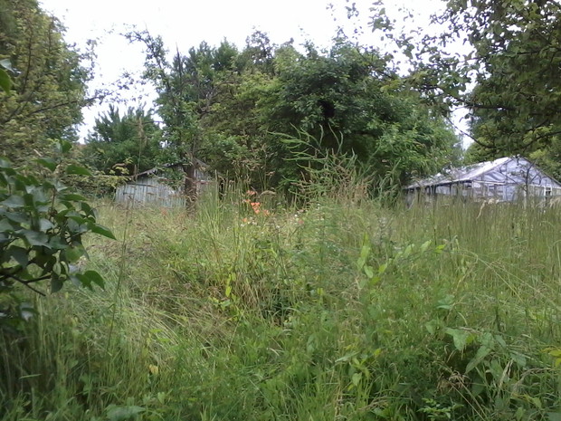 Dwa lata temu zastaliśmy taki widok.