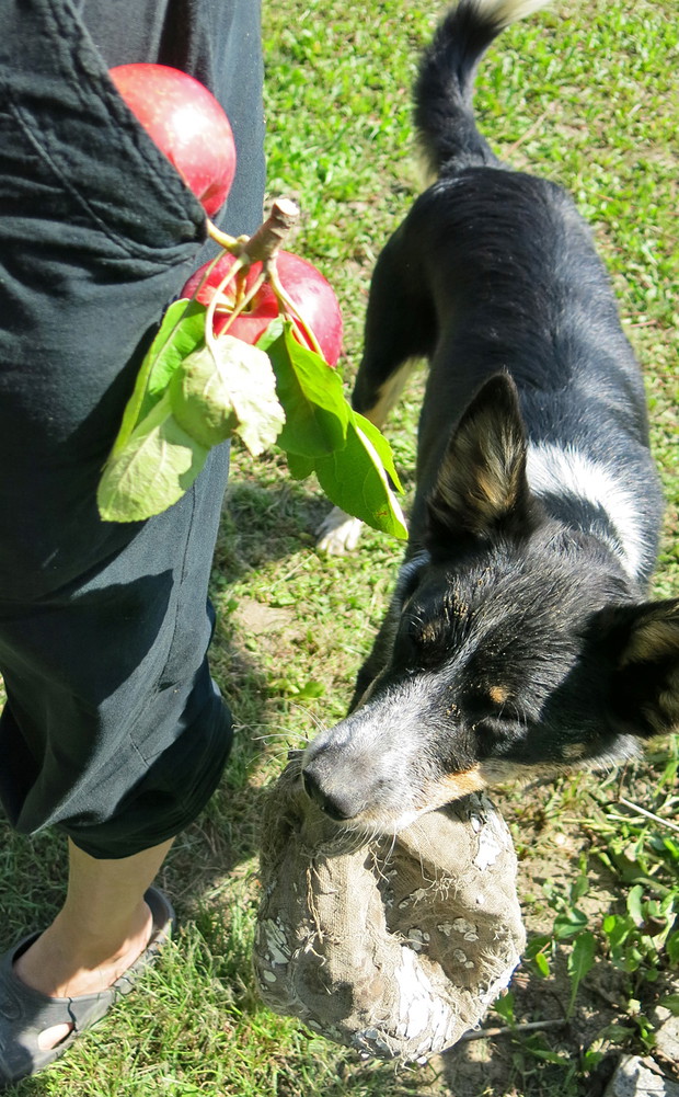 I kto tu ma chrapkę na Julię?