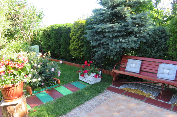 Iglaki tworzą wspaniałą ochronę od wiatru.