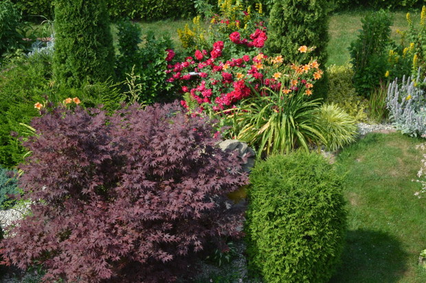 klon w roli głównej