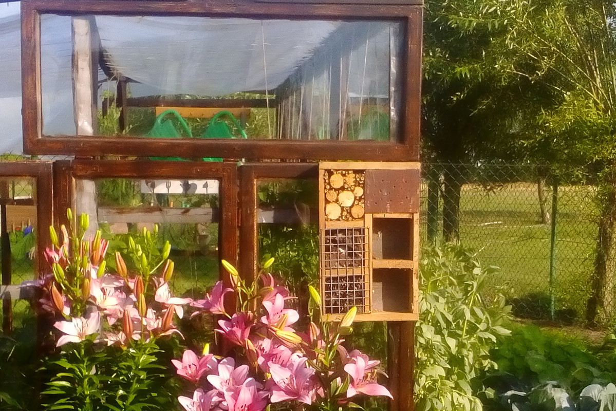 Kwiaty, warzywa i hotel dla owadów ;)