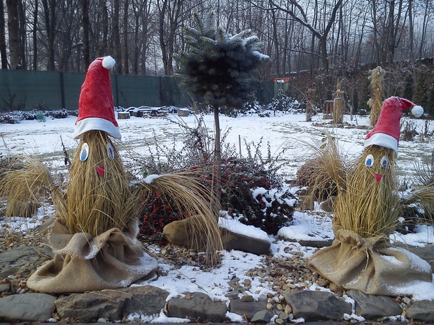 Kwoczki z rozplenic w zimowych ubrankach.