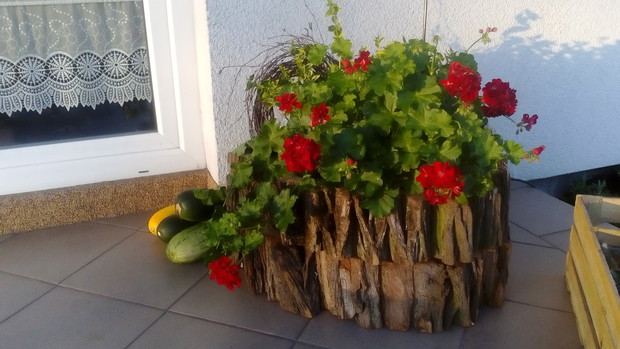 Maleńki namiastka ogrodu na tarasie. :)