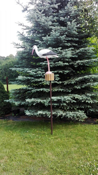 Mamy też w naszym ogrodzie Balbinkę - bociana:)