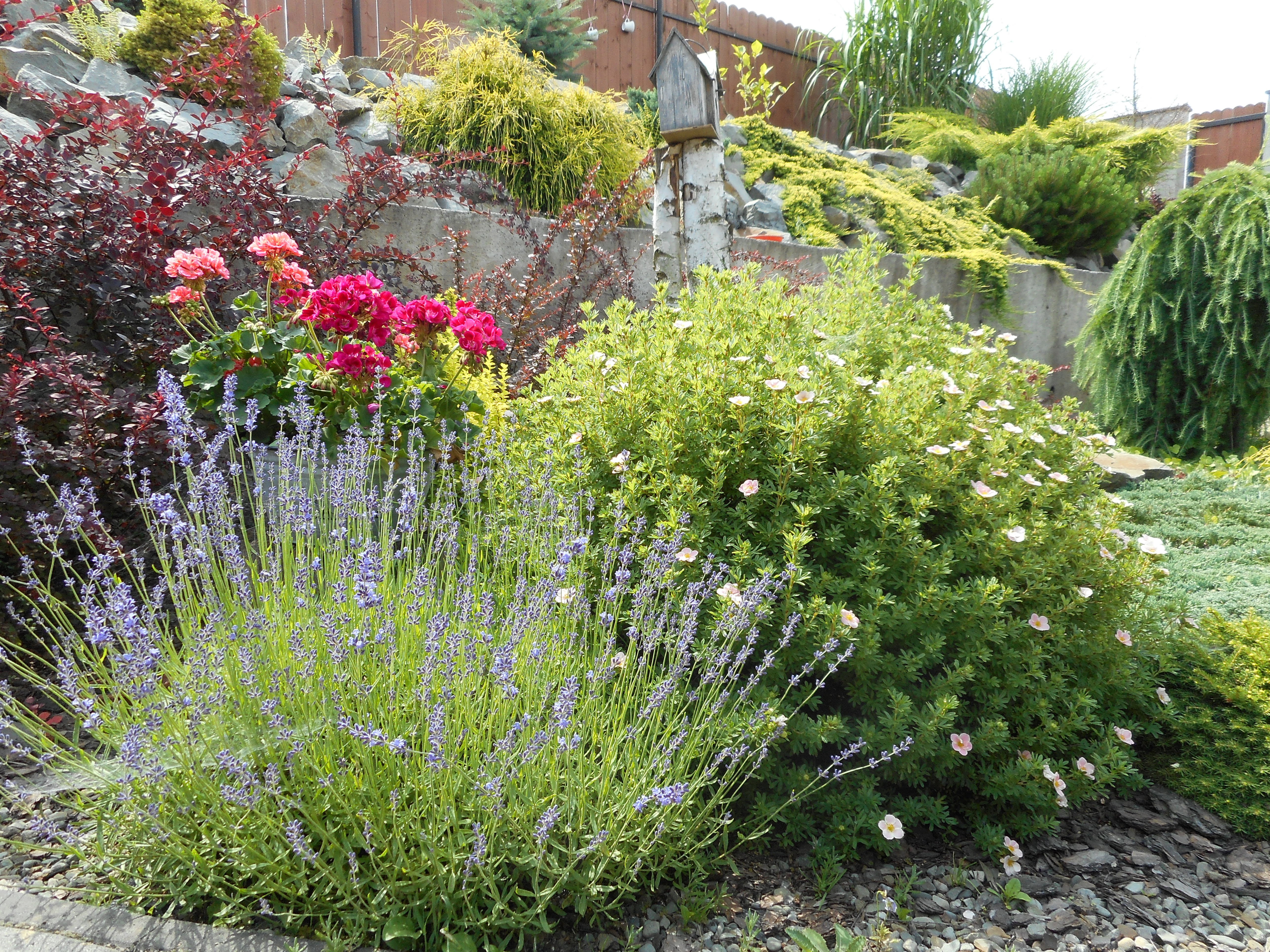 moja pierwsza rabata