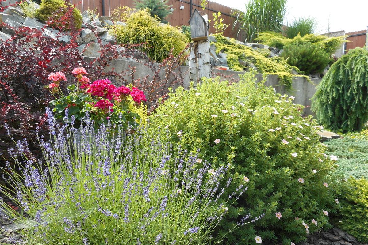 moja pierwsza rabata