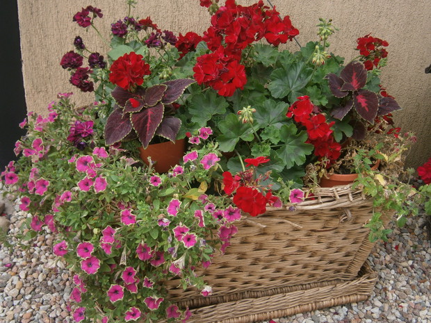 Nowe życie starej skrzyni