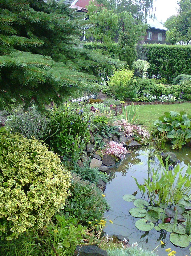 Oczko przyciąga spragnione ptaki i inne zwierzęta, widok od strony południowej