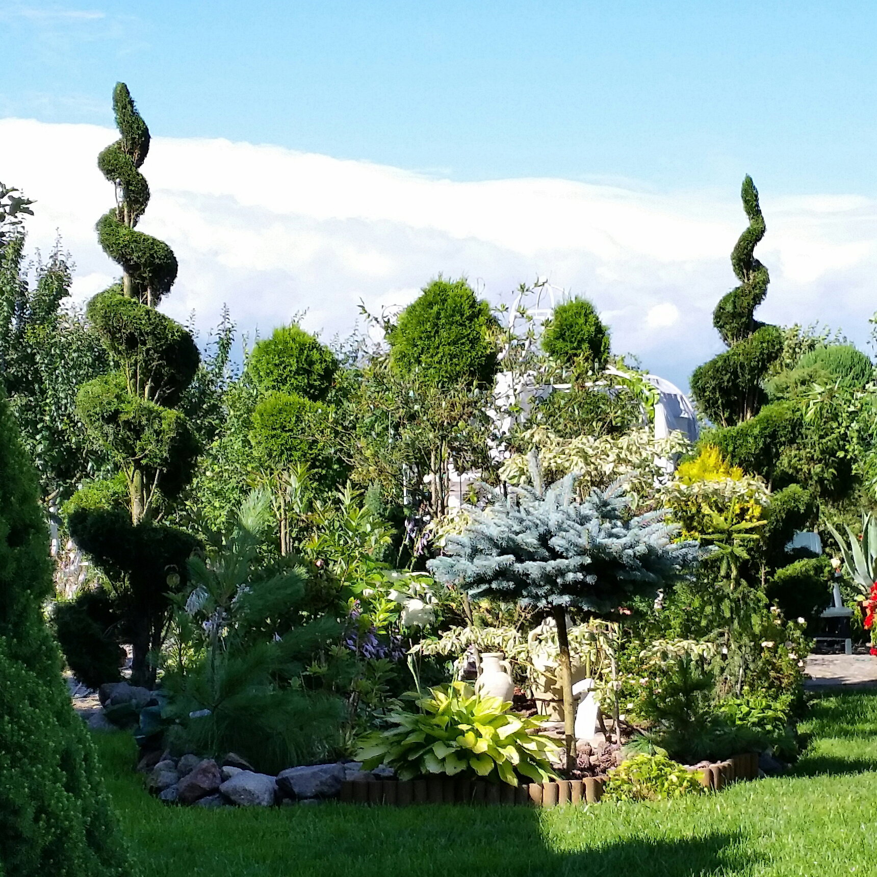 podwórko i strzyżone 15 letnie szmaragdy :)