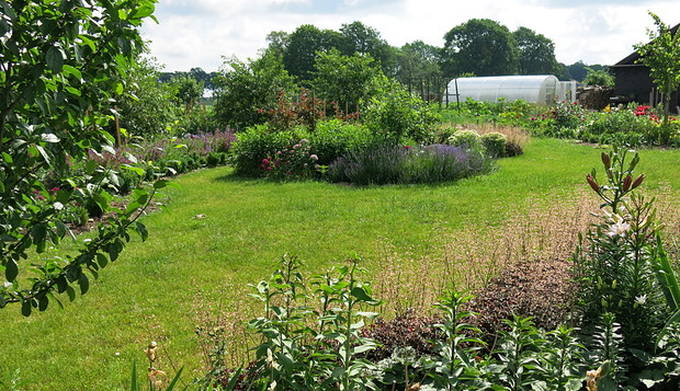 Późna wiosna, trawa tętni życiem, rabaty bylinowe co kilka tygodni zmieniają swe oblicza, ciągle zielono, ale już za chwileczkę po Makowisku przechadzać się będą zapachy i tęczowe kolory floksów, hyzopów, rudbekii, monard pysznogłówek i sadźców...