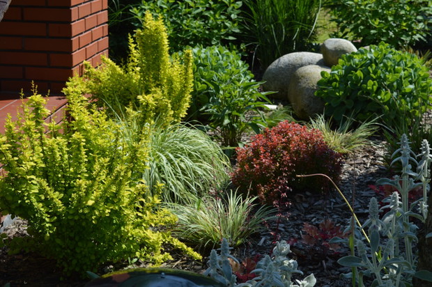 rabata przy grillu i wędzarni