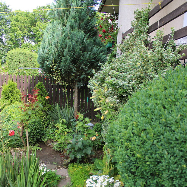 Ścieżka wśród zieleni...