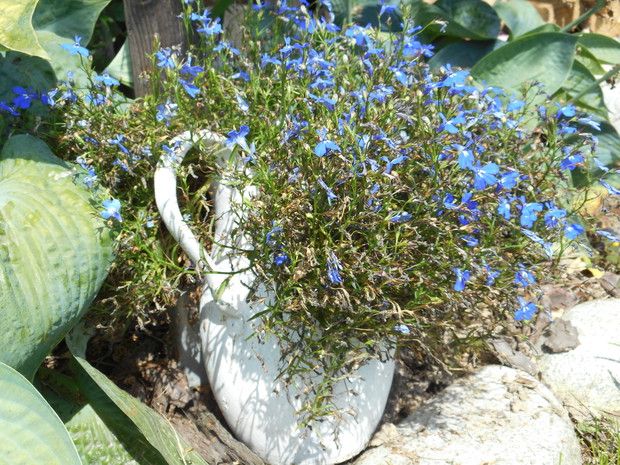 stary dzban wykopany z ziemi