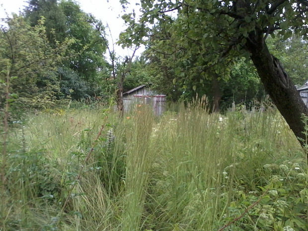 Tak nasza działka wyglądała dokładnie dwa lata temu...