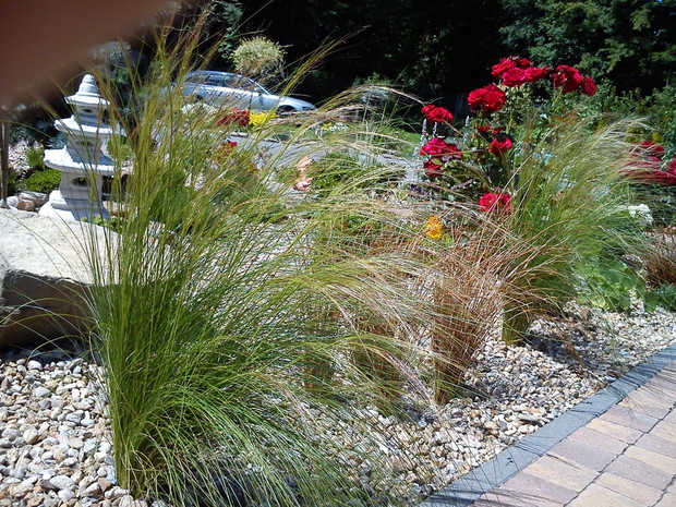 Trawki ozdobne latem