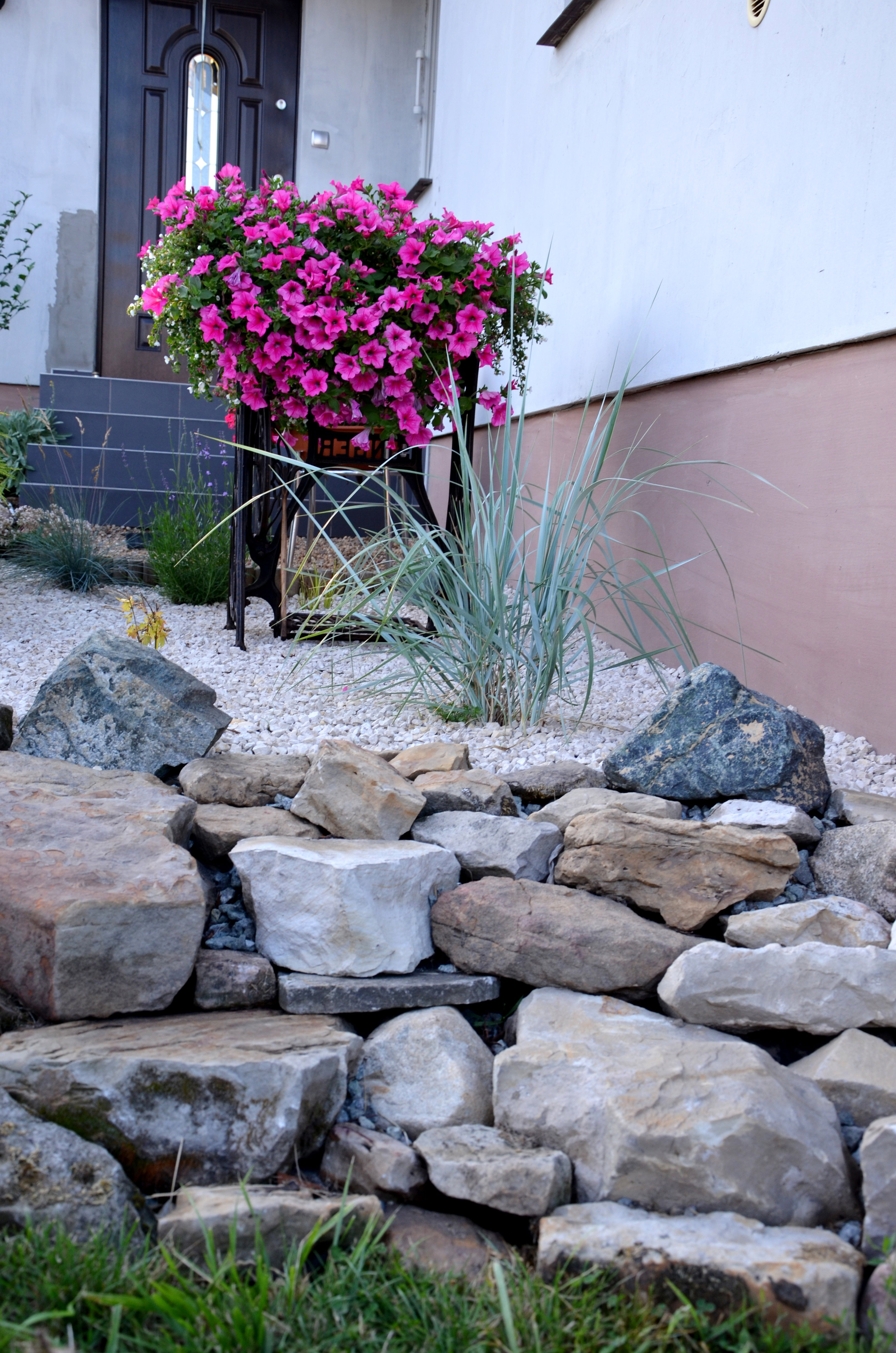 Trawy- moja nowa miłość w ogrodzie