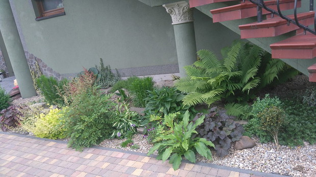 w cieniu pod schodami