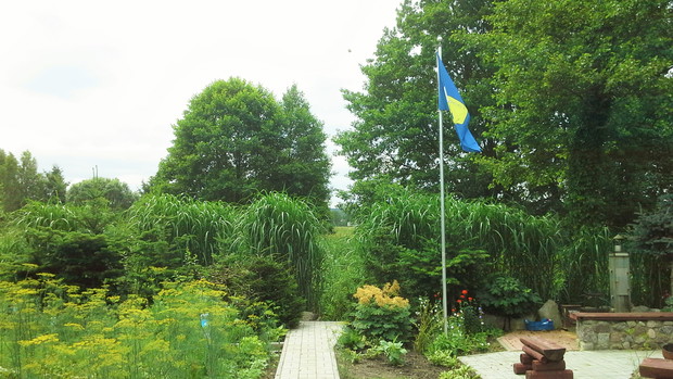 Wejście do rzeczki.