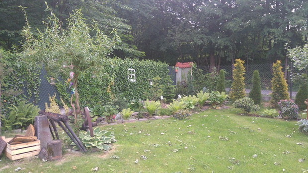 widok na kącik cieńiolubny