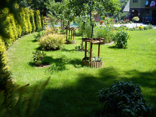 widok z kąta ogrodu